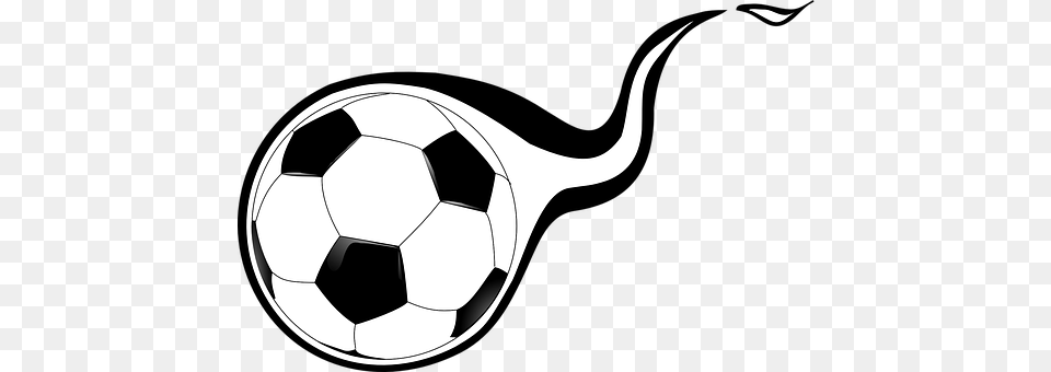 Soccer Ball, Football, Soccer Ball, Sport Free Png Download