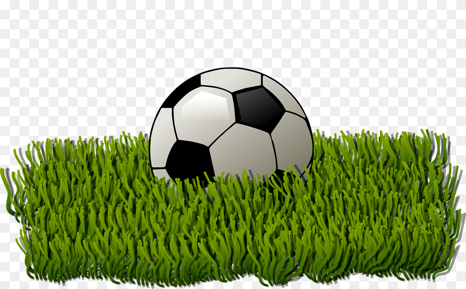 Soccer Ball Grass Clipart, Football, Soccer Ball, Sport, Plant Free Transparent Png