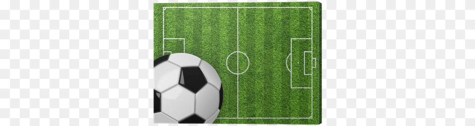 Soccer Field And Soccer Ball Football Pitch, Soccer Ball, Sport, Grass, Plant Free Png Download