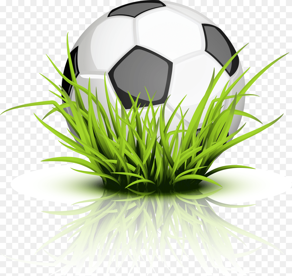 Soccer Grass Ball, Football, Soccer Ball, Sport Free Png Download