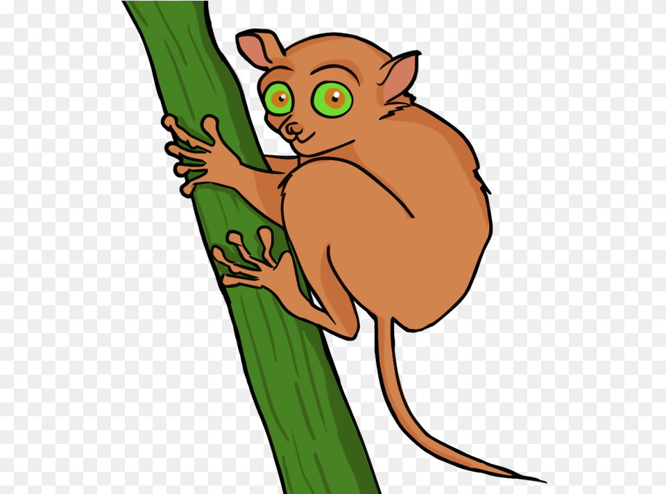 Soccer Player Clipart Tarsier Clipart, Baby, Person, Animal, Mammal Png Image