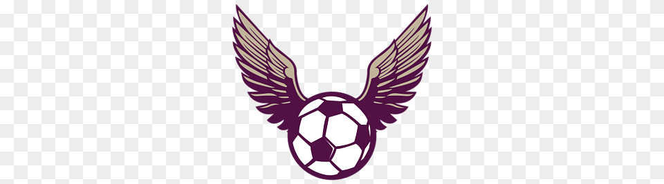 Soccer Wings Logo Golden Snitch, Ball, Football, Sport, Soccer Ball Png