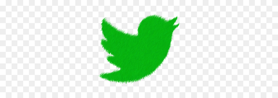 Social Green, Leaf, Plant, Logo Free Transparent Png