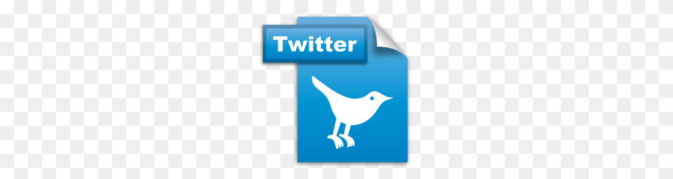 Social Icons, Animal, Bird, Text, Jay Free Png