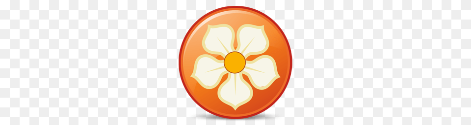 Social Icons, Citrus Fruit, Produce, Plant, Orange Free Png