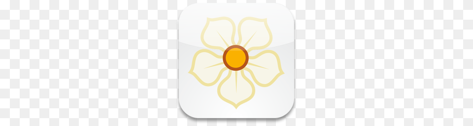 Social Icons, Anemone, Plant, Flower, Daisy Png Image