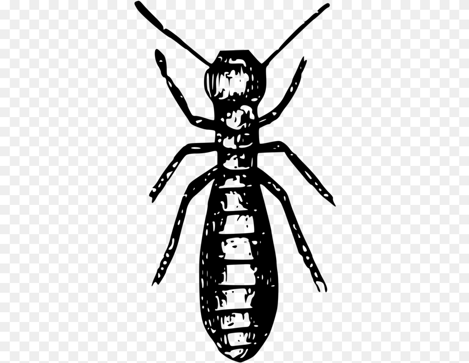 Social Insects Ant Termite Pest Termite Black And White, Gray Png Image