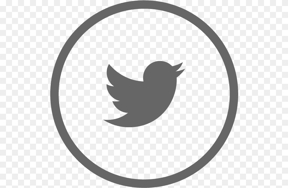 Social Media Follow Me On Twitter Transparent, Logo, Animal, Mammal, Pig Free Png