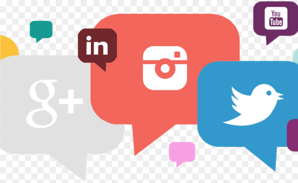 Social Media Following Clipart Social Media Management Design, Animal, Bird Free Png