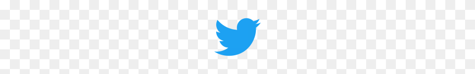 Social Media Icons, Animal, Bird, Jay, Logo Free Png