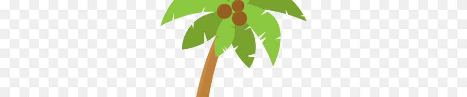 Social Media Icons Circle Leaf, Plant, Tree, Food Png Image