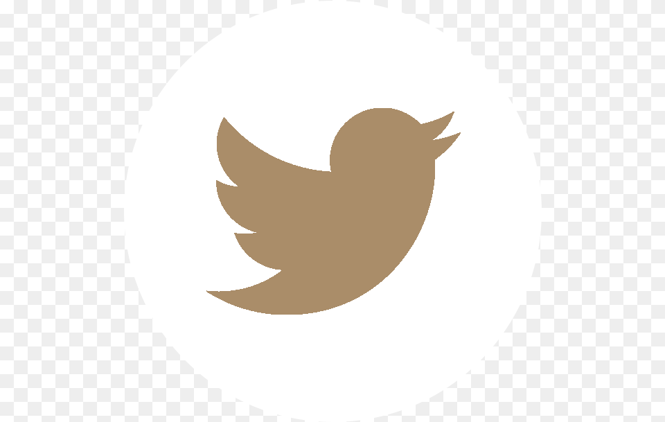 Social Media Icons Vector Twitter Twitter Marca De Agua, Logo, Animal, Fish, Sea Life Free Transparent Png