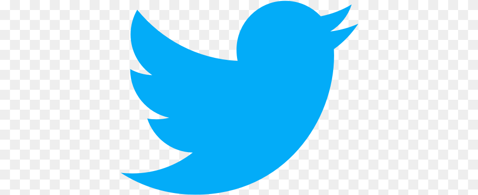 Social Media Tweet Twitter Icon Small Twitter Logo, Animal, Fish, Sea Life, Shark Png Image