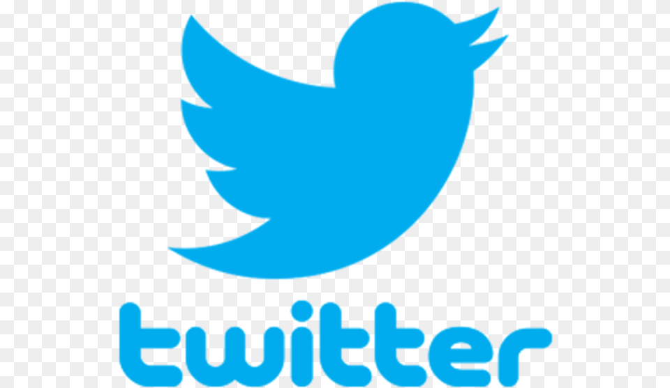 Social Media Twitter Blog User Transparent Twitter, Logo, Animal, Fish, Sea Life Png Image