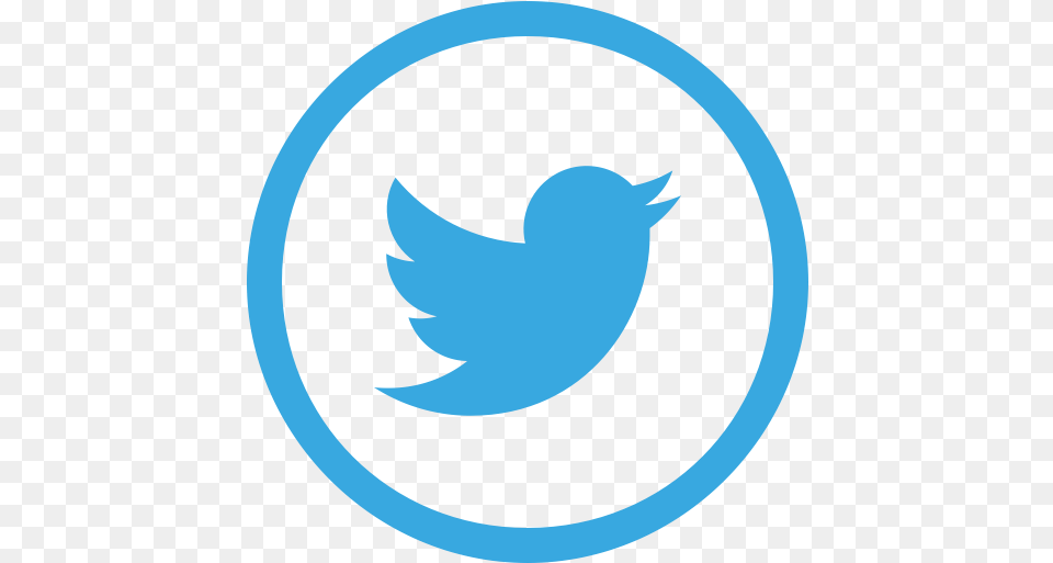 Social Media Twitter Circle 1080p Twitter Logo Hd, Animal, Fish, Sea Life, Shark Free Png