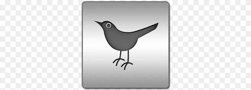 Social Network Bird Animal Twitter Sn Icon Twitter Bird Icon, Blackbird Free Png