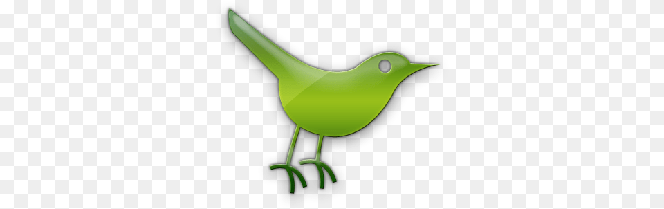 Social Network Icons Icon Twitter Bird Icon, Green, Animal, Beak, Smoke Pipe Free Png Download