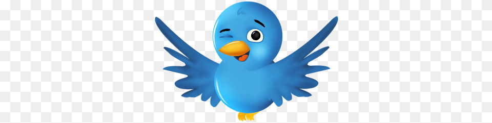 Social Network Sn Bird Twitter Bird In, Animal, Parrot, Parakeet, Sea Life Free Transparent Png