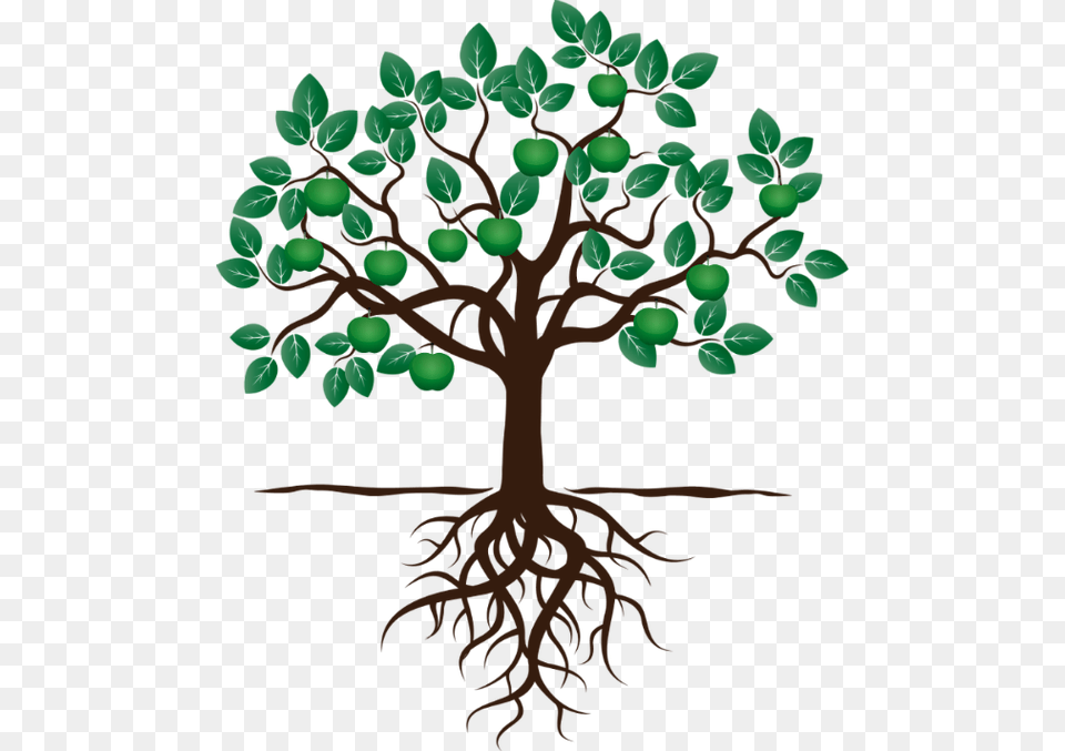 Social Work Opportunities Fruit Tree With Roots, Plant, Root, Potted Plant, Chandelier Free Png