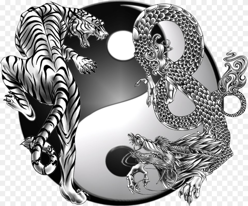 Society International Chinese Symbol Chinese Tiger Dragon Yin Yang, Silver, Animal, Mammal, Wildlife Free Png Download