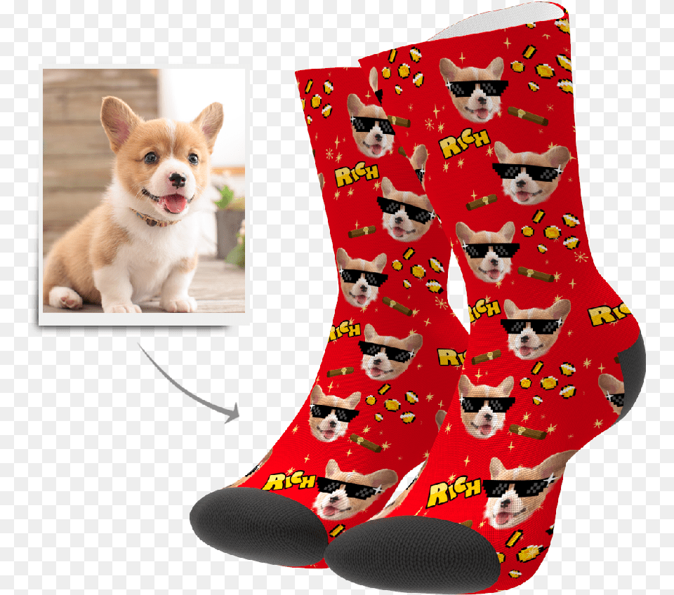 Sock, Animal, Mammal, Dog, Pet Png Image