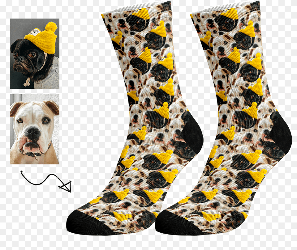 Sock, Animal, Canine, Dog, Mammal Png