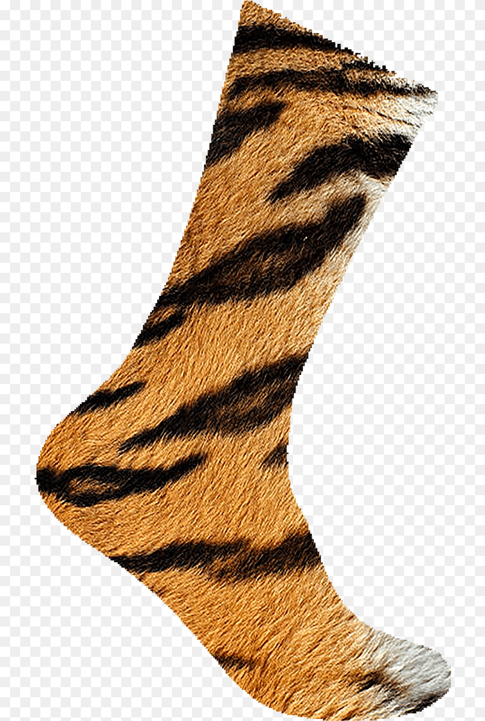 Sock, Home Decor, Person, Clothing, Hosiery Free Png Download