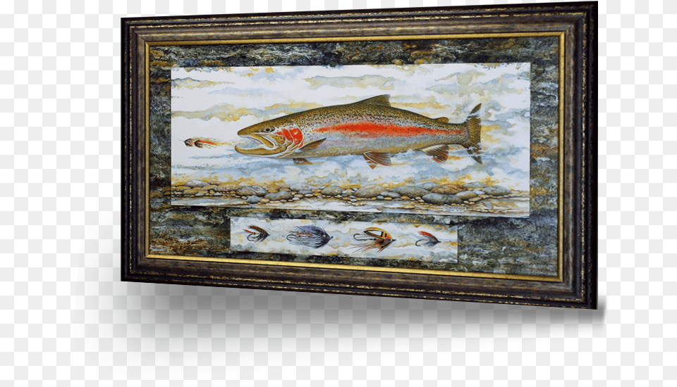 Sockeye Salmon, Animal, Fish, Sea Life, Trout Free Png