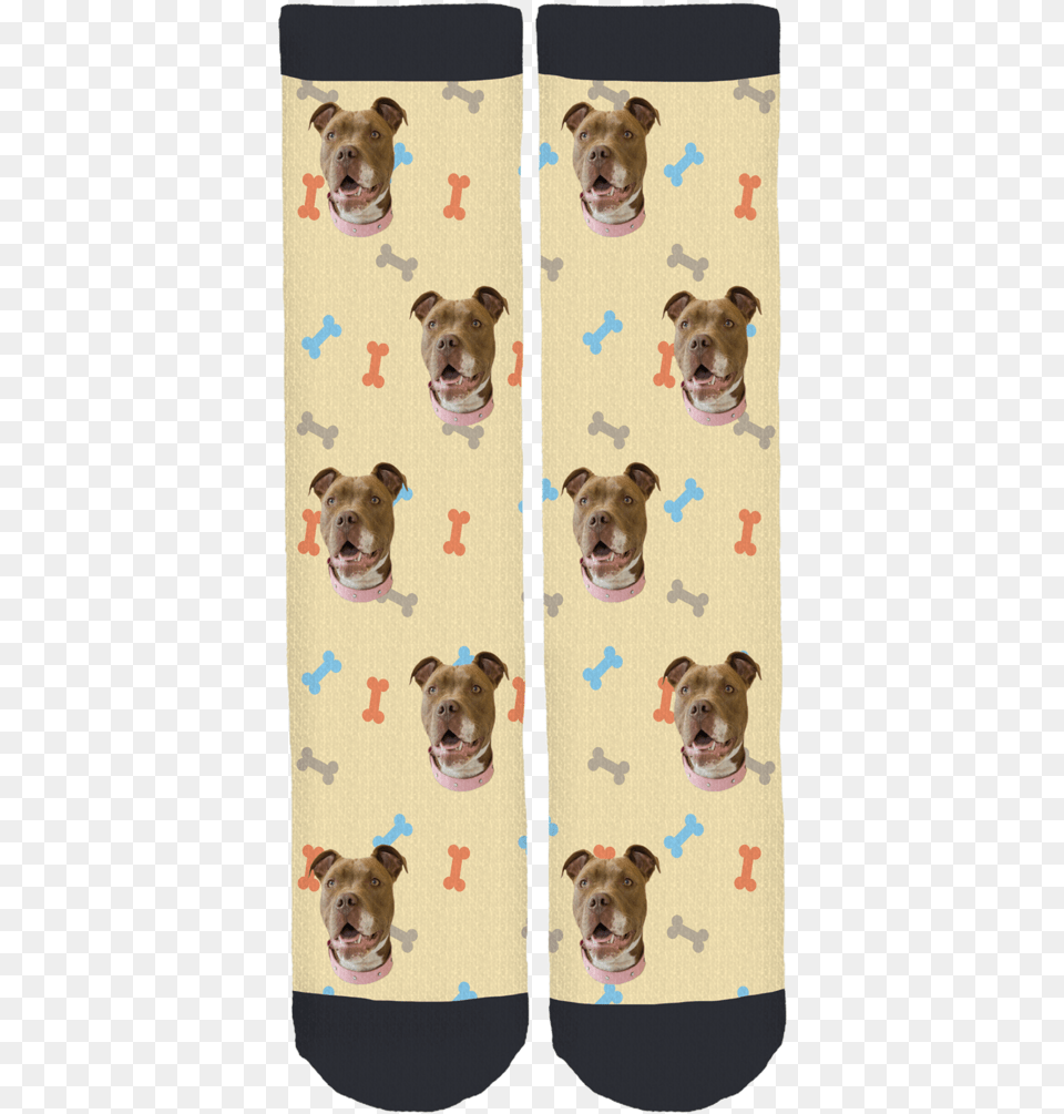 Socks Guinea Pig, Home Decor, Animal, Canine, Dog Free Png