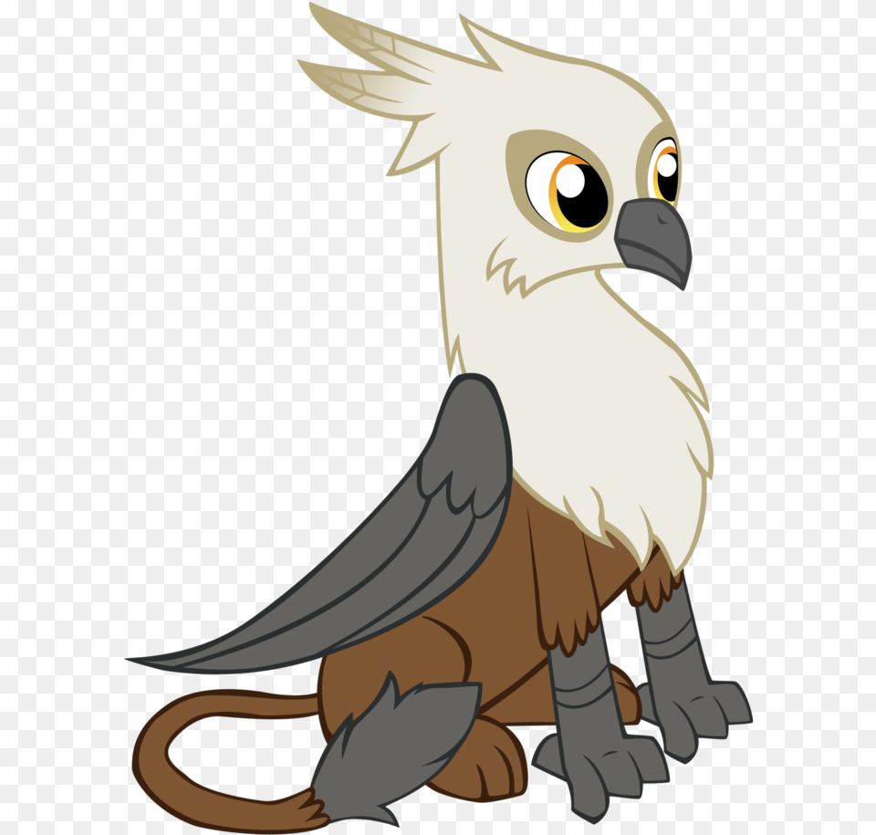 Sockstah S Griffin Oc By Thunderbulletmlp D5tr78n My Little Pony Owl, Animal, Bird, Vulture, Beak Png