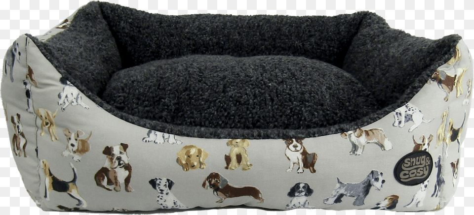 Sofa Bed, Home Decor, Cushion, Animal, Mammal Png