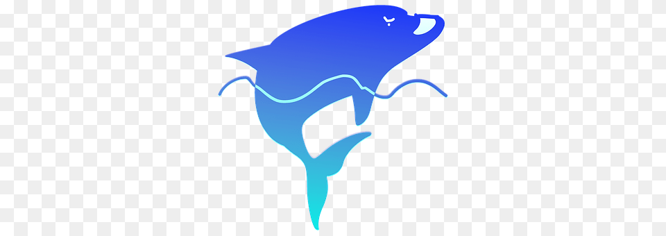 Soft Animal, Mammal, Sea Life, Whale Free Transparent Png