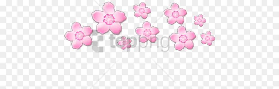 Soft Aesthetic Transparent Imagenes Sin Fondo, Flower, Petal, Plant, Cherry Blossom Png Image