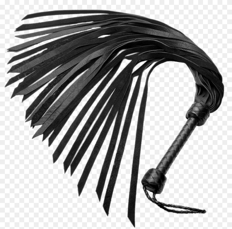 Soft Leather Flogger Whip, Animal, Bird Png