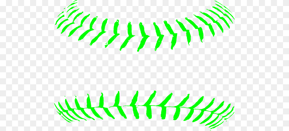 Softball Background Image Arts, Fern, Plant, Baseball, Sport Free Transparent Png