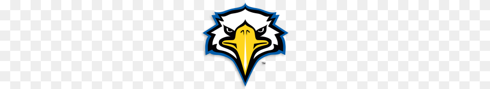 Softball Camps Usa, Animal, Beak, Bird, Eagle Png Image