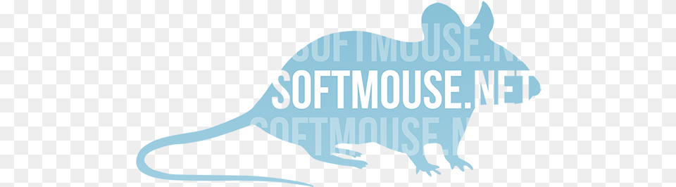 Softmousenet Conflict Confidence, Animal, Mammal, Baby, Person Free Transparent Png