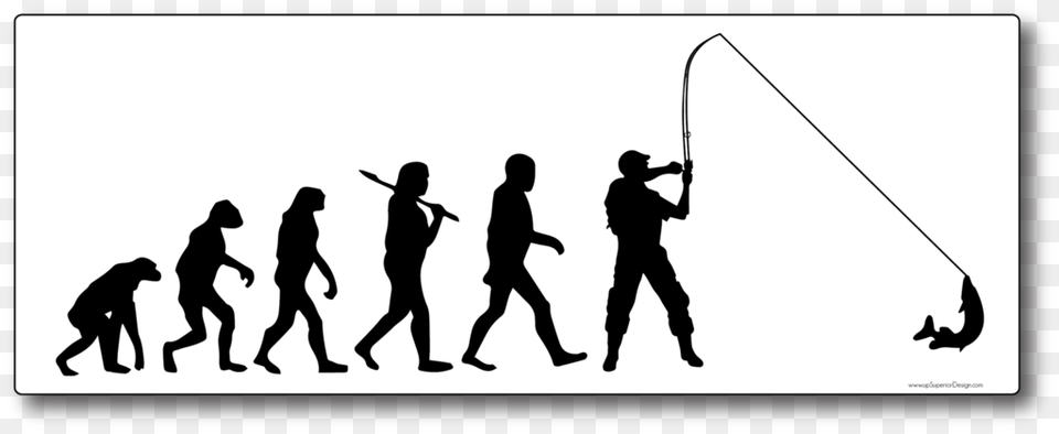 Software Refactor, Silhouette, Adult, Person, Man Png