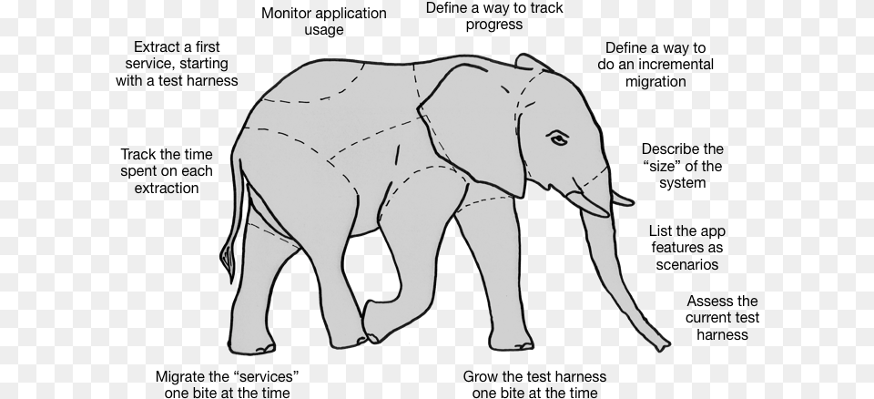 Software System Evolution Indian Elephant, Person, Art, Face, Head Png