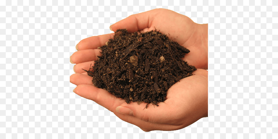 Soil, Baby, Person, Tobacco Png Image