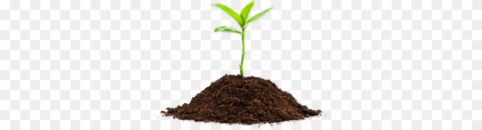Soil, Crib, Furniture, Infant Bed, Leaf Free Png