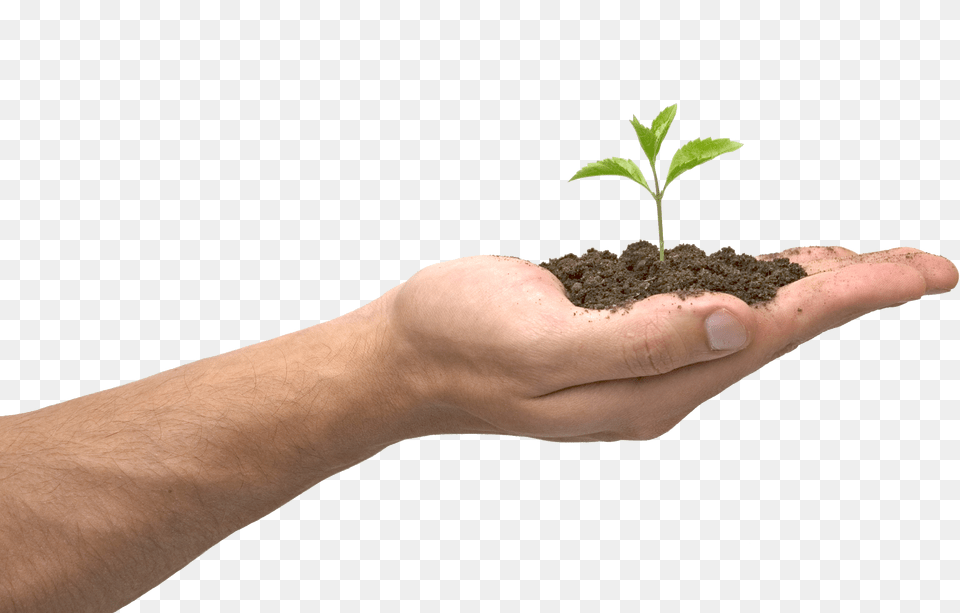 Soil, Person, Plant, Planting, Leaf Png