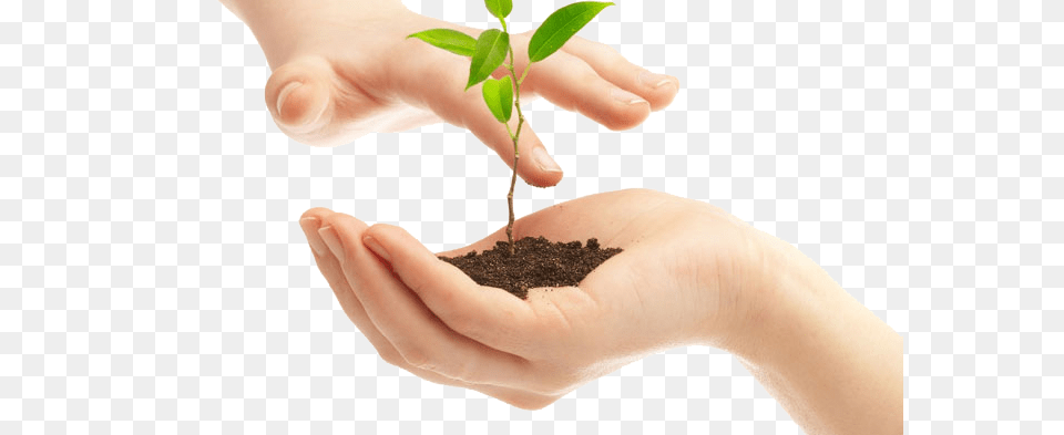 Soil, Leaf, Person, Plant, Planting Free Transparent Png