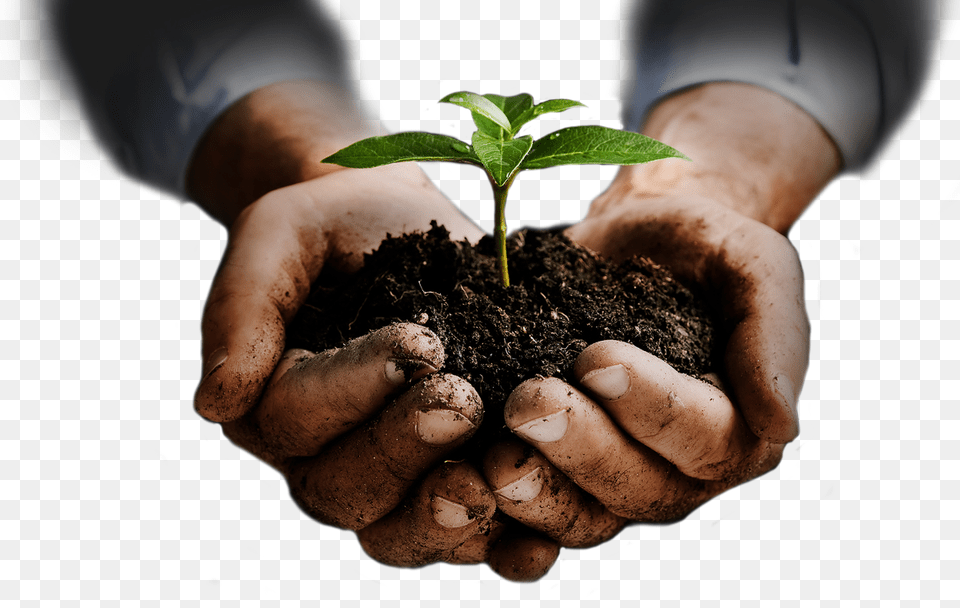 Soil, Body Part, Finger, Planting, Plant Free Transparent Png