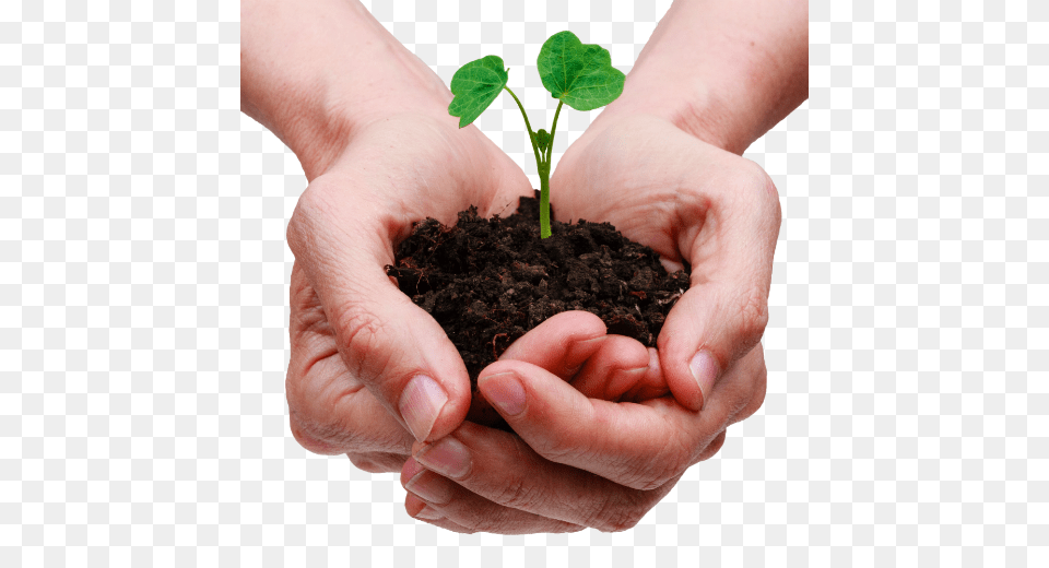 Soil, Body Part, Finger, Planting, Hand Png Image