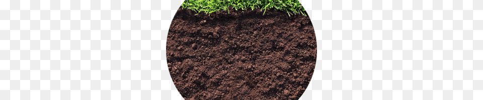 Soil, Grass, Plant Png