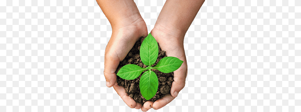 Soil, Leaf, Person, Plant, Planting Free Png Download