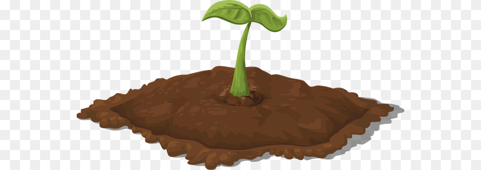 Soil, Plant, Sprout Png Image