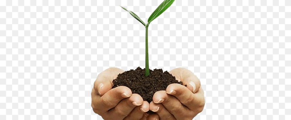 Soil, Person, Plant, Planting, Leaf Png Image