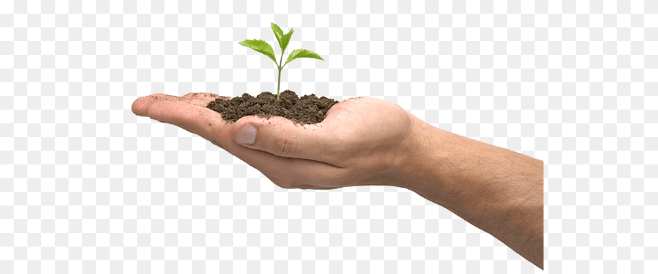 Soil, Person, Plant, Planting, Baby Free Transparent Png